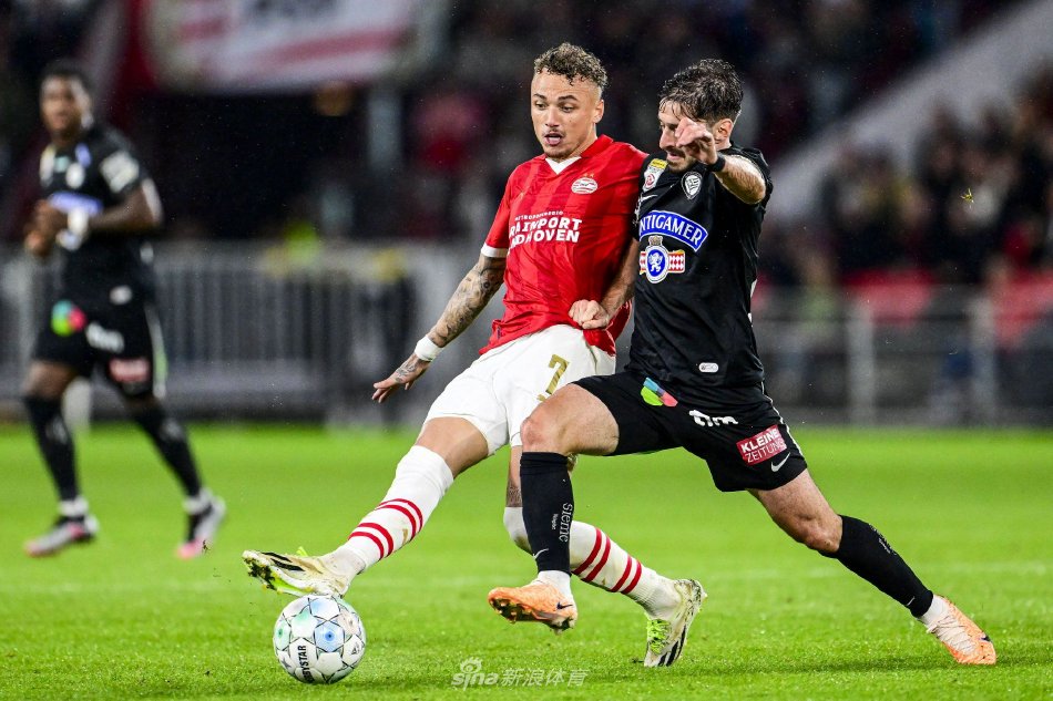 仅是体力的 仅是体力的